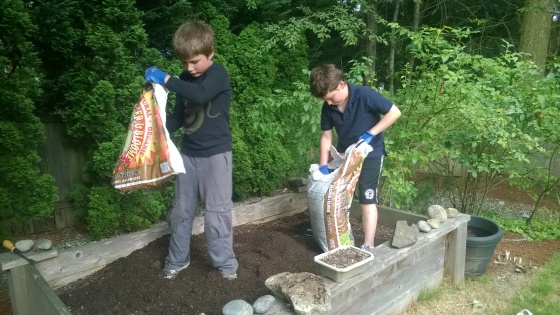 Boys gardening